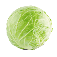 Cabbage Leaves